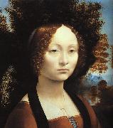  Leonardo  Da Vinci Portrait of Ginerva de'Benci oil painting on canvas